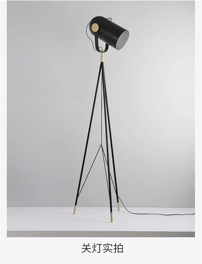Post-Modern Nordic Creative LED Floor Lamp