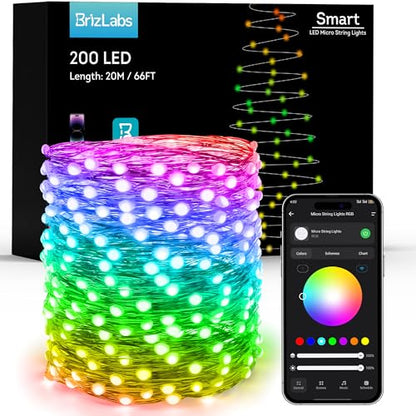 Smart RGB Fairy Lights