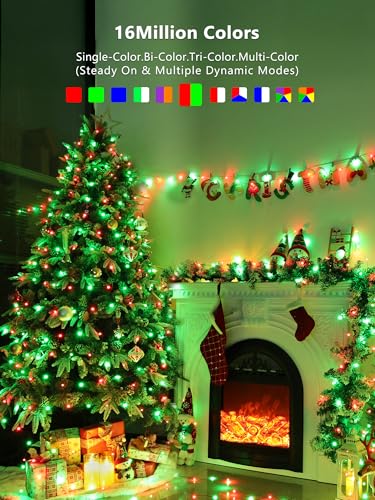 Smart RGB Fairy Lights