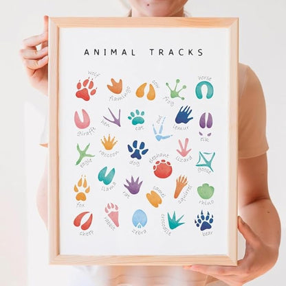OZCONO Animal Tracks Learning Poster, Vibrant Wildlife Chart Kids, Preschool Wall Decor Art, Homeschool Education Guide (Unframed) (27x40)