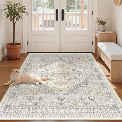 4x6 Area Rug for Entryway