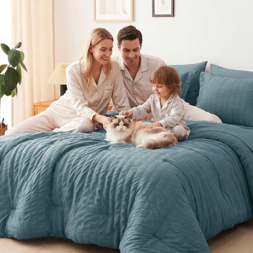 Queen Comforter Set