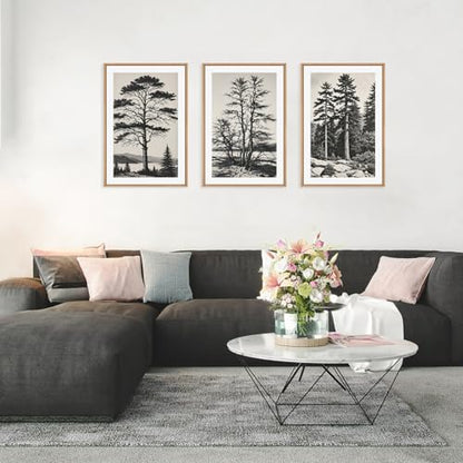 Large Vintage Sketch Tree Framed Wall Art Set
