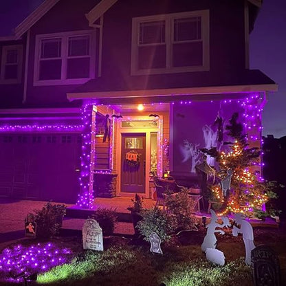 400 LED Purple Halloween Lights Outdoor (132 Foot)