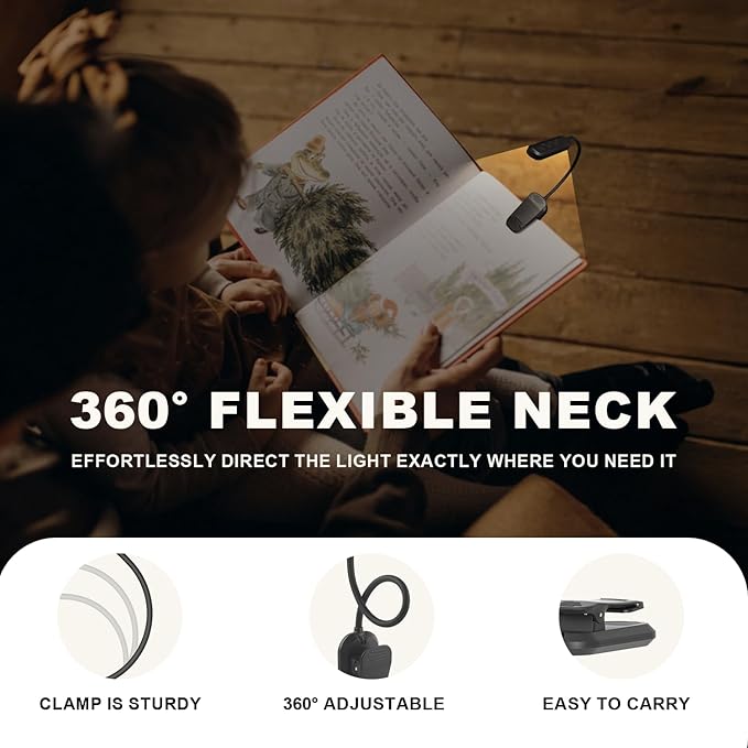 Rechargeable 20 LED Book Lights