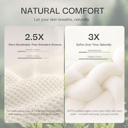 Salt Earth GOTS Certified 100% Organic Cotton Throw Blanket, 108" X 90" Waffle Blankets & Throws for Bed, Throw Blanket for Couch, Modern & Cozy Blanket, All Season Comfy & Soft Blanket(Powder Blue)