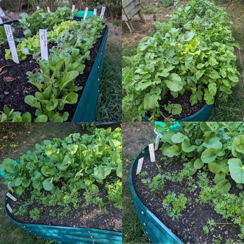 8x3x2ft Galvanized Raised Garden Bed
