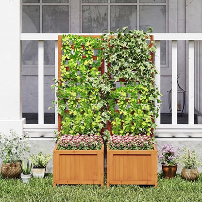 48" Raised Garden Bed with Trellis & Garden Box