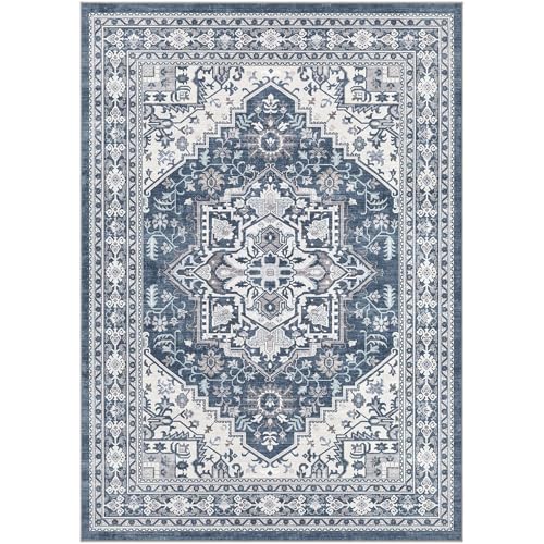 6x9 Area Rug for Living Room (54 Sq Ft)