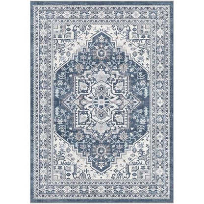 6x9 Area Rug for Living Room (54 Sq Ft)