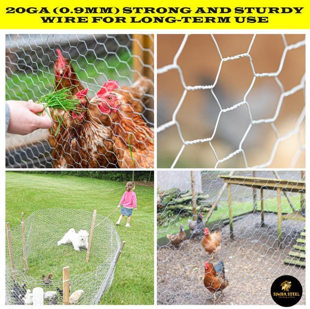 Chicken Wire 48 in x 100 FT x 2” Mesh x 20GA | Poultry Wire Netting | Hot Dipped Galvanised | Hexagonal Galvanized Mesh for Chicken Coop, Rabbit Cage, Fence Barrier PM48x100x2
