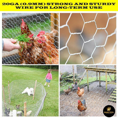 Chicken Wire 48 in x 100 FT x 2” Mesh x 20GA | Poultry Wire Netting | Hot Dipped Galvanised | Hexagonal Galvanized Mesh for Chicken Coop, Rabbit Cage, Fence Barrier PM48x100x2