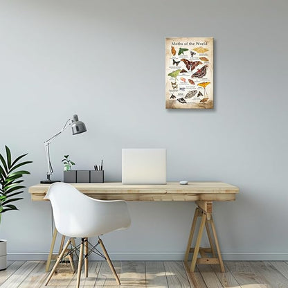 Wallpicss Moth Wall Art Framed Canvas Pictures Vintage Educational Posters Moths of The World Knowledge Poster Decorations for Office 12x18 inches