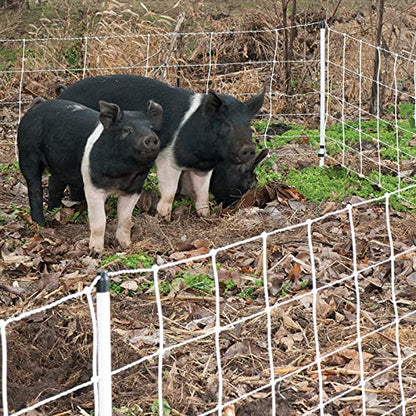 Premier 1 Pig QuikFence® Electric Netting | White/Black Single Spike High Visibility Fence – 30"H x 100'L