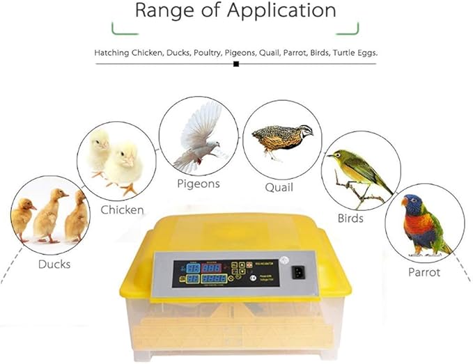 Egg Incubator Automatic Turning Digital Poultry with Temperature Control Breeder for Hatching Chicken Duck Goose Quail Birds Turkey, 48 Eggs