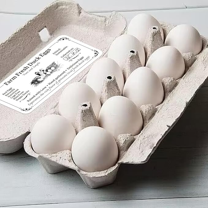 160 Pcs Duck Eggs Carton Labels, Farm Fresh Eggs Sticker Rectangle Egg Stickers PET Adhesive Egg Packaging Stickers for Box Container Carton Farm Supplies, 2x4 Inch
