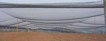 Poultry Netting 25ft x 25ft Heavy Knotted 2" Mesh Nets Aviary Gamefowl Quail Chicken Bird Block Net Long Lasting Break/Burst 85/245 lb Polyethylene 8-10 Year Lifespan
