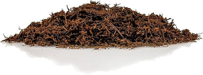 Premium New Zealand Tree Fern by GARDENERA - Orchid and Epiphytal Plants Growing Medium and Reptile Substrate - 3 Quart Bag