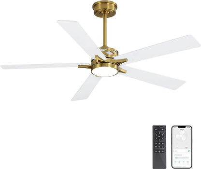 WINGBO 52" Smart Ceiling Fan
