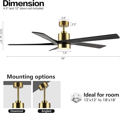 WINGBO 54 Inch DC Ceiling Fan