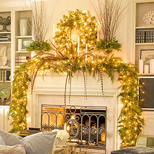Connectable 250 LED Warm White Christmas Lights Indoor Outdoor (91.5 Foot)