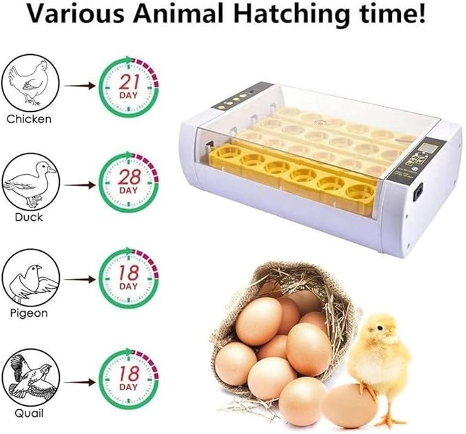 Egg Incubator Automatic Turning with LED Light Temperature Control 24 Digital Eggs Poultry Hatcher for Chicken Duck Goose Quail