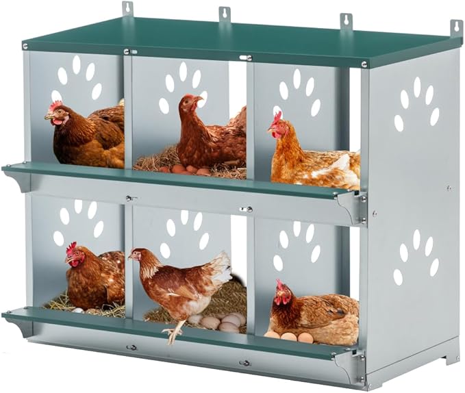 Green Chicken Nesting Box for Laying Eggs – Roll Away Poultry Nest, Durable & Easy-Clean Hen Egg Box for Coops, Secure & Comfortable (6-Hole,Green)