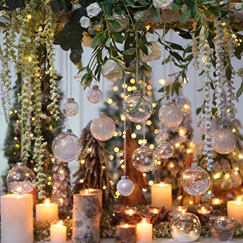 24 Pack Clear Christmas Ball Ornaments with Fillers (24 Count)
