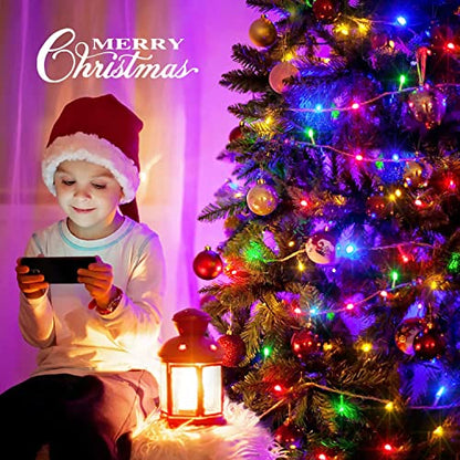 163ft 500 LED Multicolor Christmas Lights Outdoor Waterproof (163 Foot)