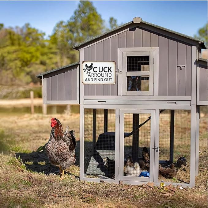 Funny Chicken Gifts Chicken Cluck Around and Find Out Tin Sign for Home Farm Chicken Coop Farmhouse Kitchen Garden Decor 12 X 16 Inch