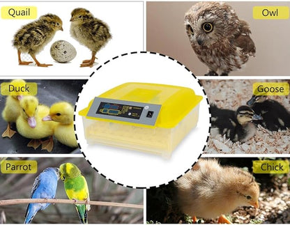 ALLGOOD 48 Eggs Incubator Automatic Digital Hatcher Machine with Auto Egg Turning for Hatching Chicken Goose Duck Birds Quail