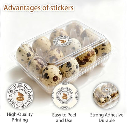 320 Pcs Quail Eggs Carton Labels, 2 Inch Round Fresh Quail Eggs Handling Stickers Waterproof PET Adhesive Quails Egg Packaging Sticker for Box Container Carton Farm Supplies