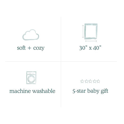 aden + anais Plush Blanket - Soft Minky Baby Blanket for Infants, Toddlers, Kids, for Crib, Stroller, Travel, Storm Grey