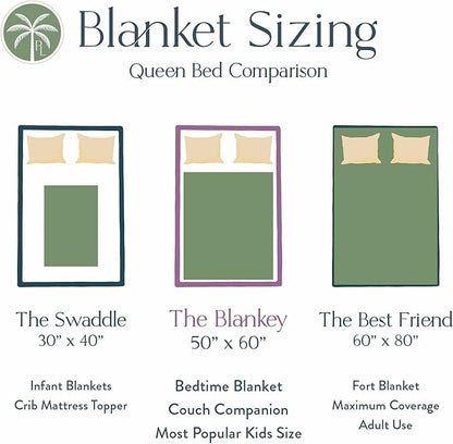 Personalized Dinosaur Blanket for Kids, Ships Next Day - Dino Throw Blanket for Boys and Girls, Toddler Bed, Room & Bedroom Decor - Educational Blankets for Children - USA Based (60x80, Fleece)