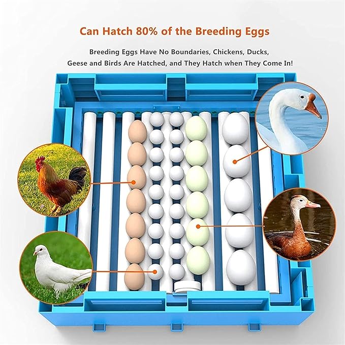 Egg Incubator Automatic Turning Digital Hatcher Machine Poultry Breeder with Temperature Control and LED Candler for Hatching Chickens Duck Quail Birds 320 Eggs