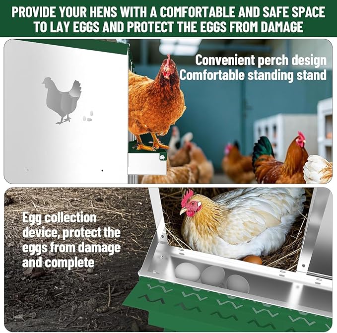 Chicken Nesting Box, 10 Compartment Metal Chicken Nesting Boxes for Chicken Coop, Large Vented Holes Chicken Laying Boxes with Rollout Egg Collection, Wall Mount Chickens Coops