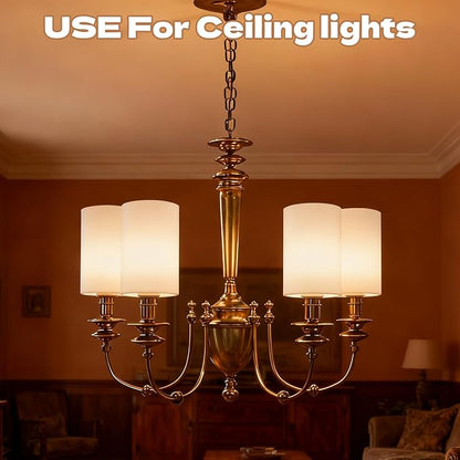 6 Pcs White Frosted Glass Shade Replacements