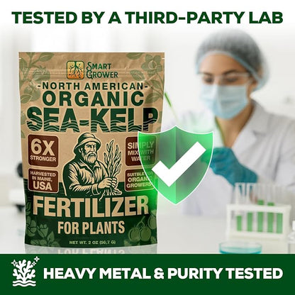 Organic Sea Kelp Fertilizer for Plants – Water-Soluble – Makes 50 Gallons – Kelp Meal Concentrate Plant Food – for Indoor Gardens, Hydroponics, Vegetables, Houseplants - Smart Grower - 2oz Bag