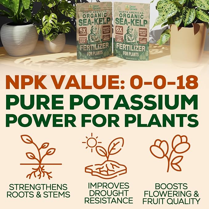 Organic Sea Kelp Fertilizer for Plants – Water-Soluble – Makes 50 Gallons – Kelp Meal Concentrate Plant Food – for Indoor Gardens, Hydroponics, Vegetables, Houseplants - Smart Grower - 2oz Bag