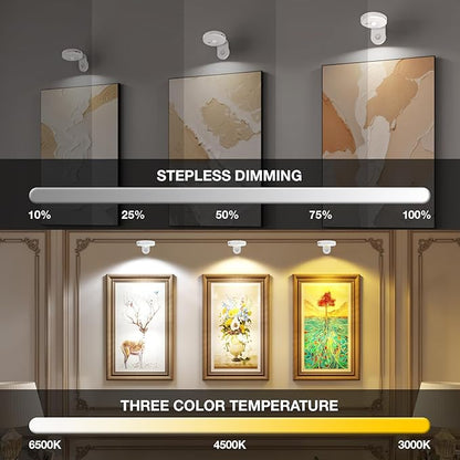 Picture Lights for Wall Wireless