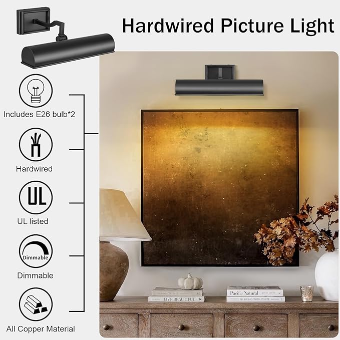 Modern 12in Bronze Picture Lights