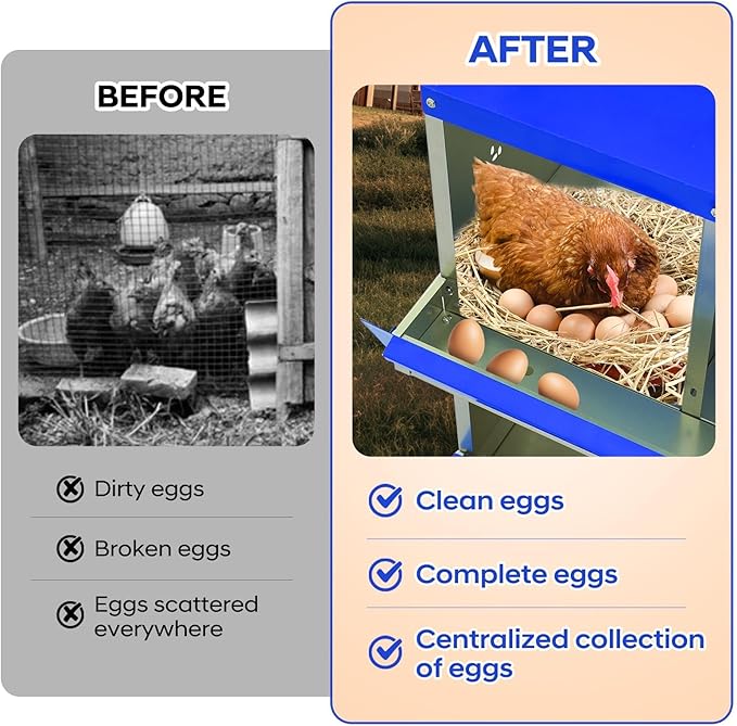 Secure & Durable Build - Heavy-Duty Galvanized Steel Chicken Nesting Box - 6 Compartments, Wall-Mounted, Easy Egg Collection & Cleaning, Blue, 84.5x42x90.3cm, 6 Compartments