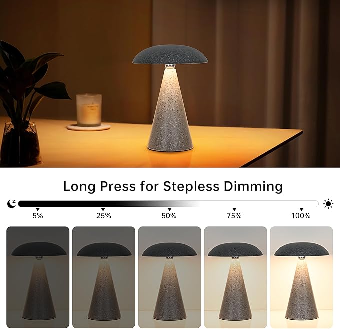 Cordless Rechargeable Table Lamp