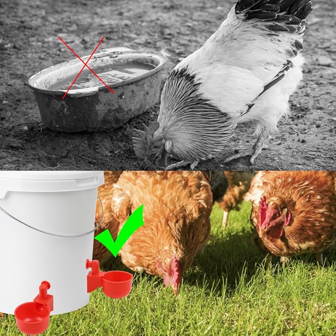 12 Pack Large Automatic Chicken Waterer Cups with Mounting Hole Opener, Plastic Chicken Water Feeder Chicken Water Bowls Poultry Water Feeder Kit for Chicks, Duck, Goose, Turkey and Bunny