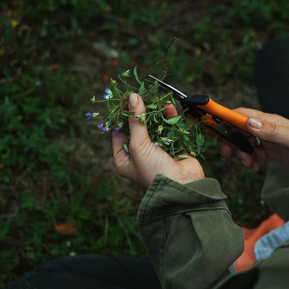 Fiskars 6" Pruning Scissors for Flower Stems, Herbs, Buds, and Small Plants, Garden Snips with Stainless Steel Blades, Gardening Trimmers with Comfortable Handle