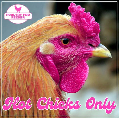 Hot Chicks Only | The Original Pink Poultry Pro Feeder DIY Port PVC Gravity Fed Chicken Feeder 3 Ports and Hole Saw | Rain Proof, Weather Resistant Chicken Feeder (Hot Chick Feeder Kit)
