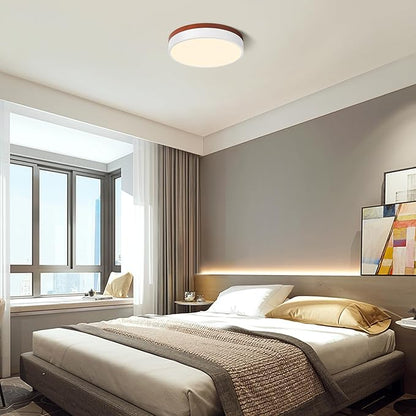 LED Ceiling Light Dimmable, Minimalist Round Ceiling Lamp Modern Lighting