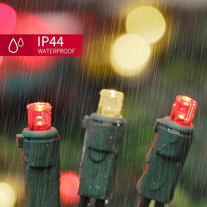 LAMPHOME 100 Count RED and Warm String Lights