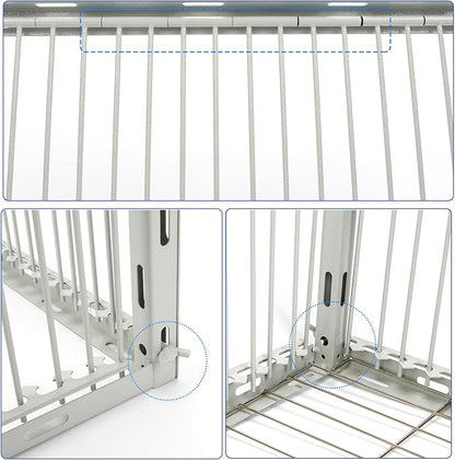 Pigeon Trap Cage with Escape-Proof Design – Auto Bird Trap Cage for Pigeons and Small Birds | Multi-Catch Pigeons Birds Traps for Sale with Well Anti-Rust Baking Paint-M Size