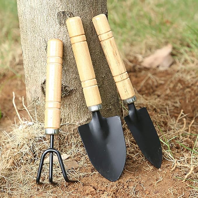 Gardening Tool Set (6 Pcs) Spade Shovel Rake for Garden Plants Care House Plants Flower Pot Cactus Vegetables Kids Indoor Small Plants Mini Medium Plant Tool Succulent Kit
